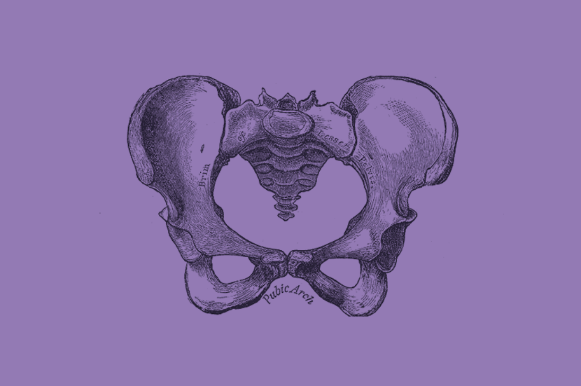 Female pelvic bone